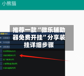 推荐一款“微乐辅助器免费开挂	”分享装挂详细步骤-第2张图片