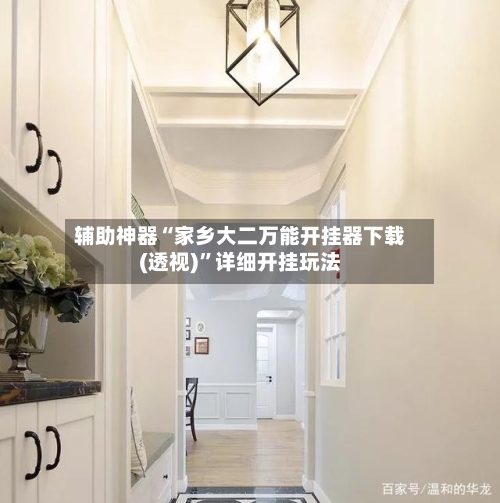 辅助神器“家乡大二万能开挂器下载(透视)	”详细开挂玩法-第2张图片