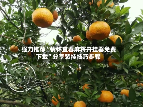 强力推荐“情怀宜春麻将开挂器免费下载	”分享装挂技巧步骤-第2张图片