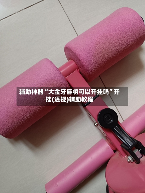 辅助神器“大金牙麻将可以开挂吗”开挂(透视)辅助教程-第3张图片