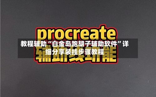 教程辅助“白金岛跑胡子辅助软件	”详细分享装挂步骤教程-第2张图片
