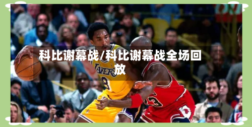 科比谢幕战/科比谢幕战全场回放-第3张图片