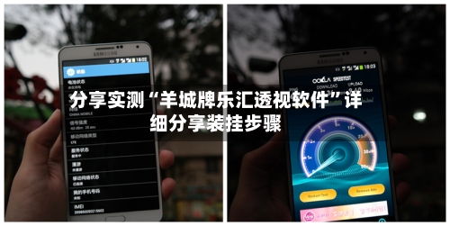 分享实测“羊城牌乐汇透视软件	”详细分享装挂步骤-第1张图片