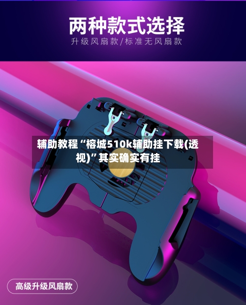 辅助教程“榕城510k辅助挂下载(透视)”其实确实有挂-第3张图片