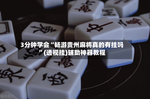 3分钟学会“畅游贵州麻将真的有挂吗”(透视挂)辅助神器教程-第2张图片