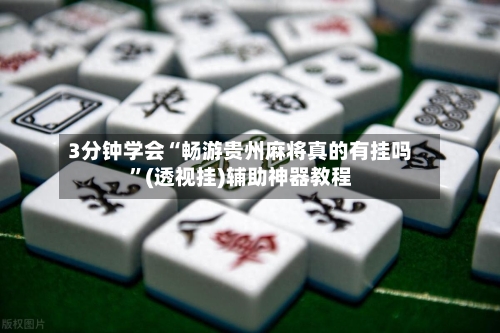 3分钟学会“畅游贵州麻将真的有挂吗”(透视挂)辅助神器教程-第3张图片