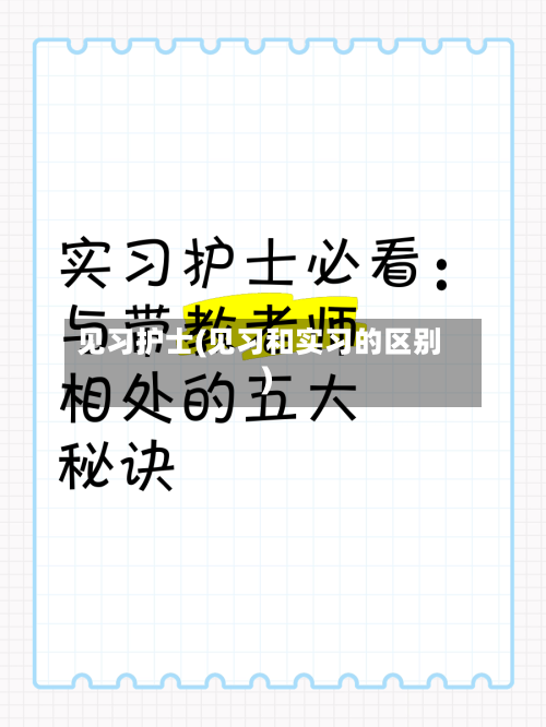 见习护士(见习和实习的区别)-第2张图片