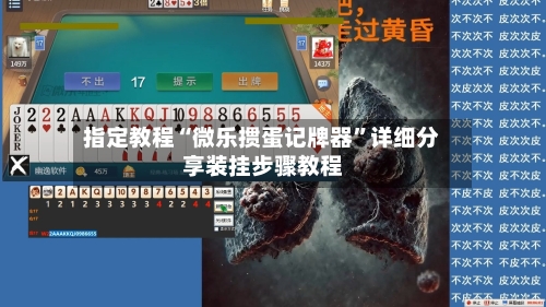 指定教程“微乐掼蛋记牌器”详细分享装挂步骤教程-第1张图片