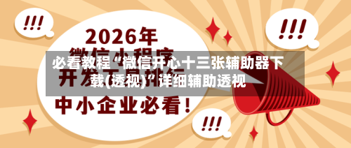 必看教程“微信开心十三张辅助器下载(透视)”详细辅助透视-第3张图片