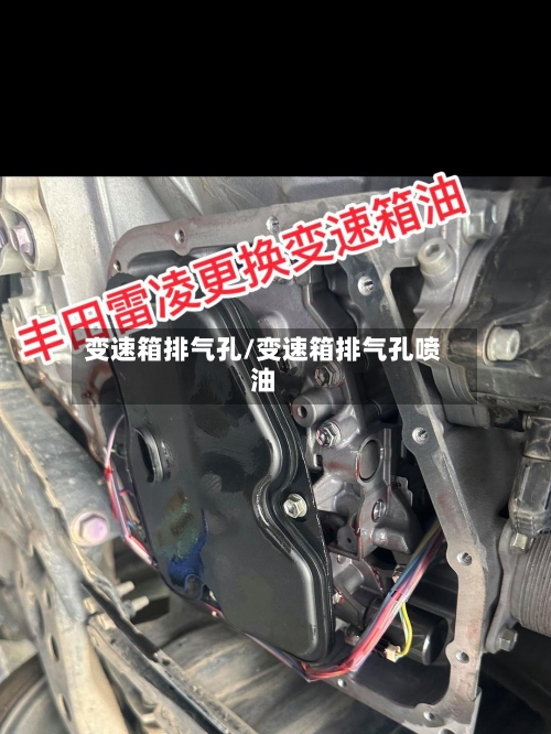 变速箱排气孔/变速箱排气孔喷油-第1张图片