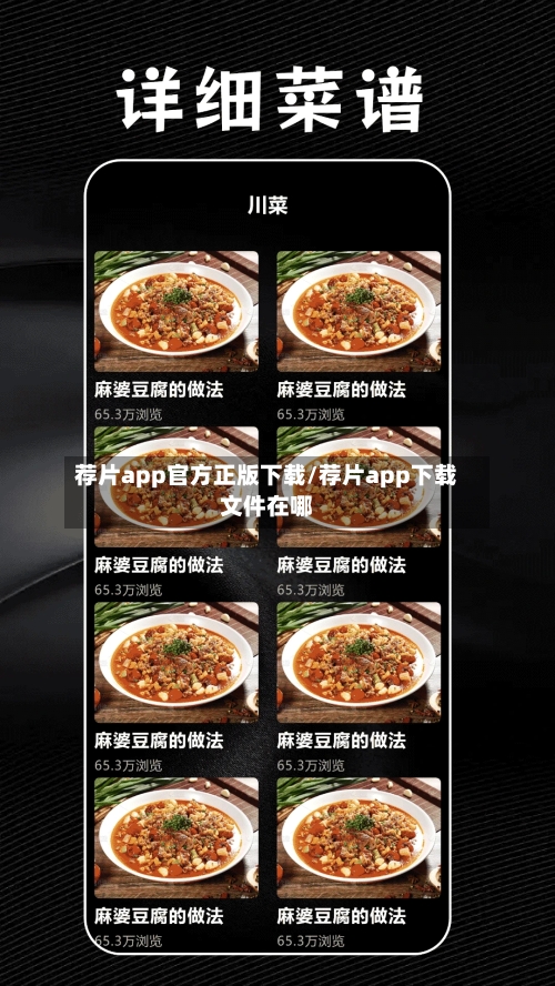 荐片app官方正版下载/荐片app下载文件在哪-第1张图片