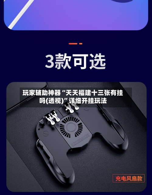 玩家辅助神器“天天福建十三张有挂吗(透视)	”详细开挂玩法-第2张图片