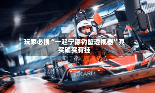 玩家必搜“一起宁德钓蟹透视器”其实确实有挂-第1张图片