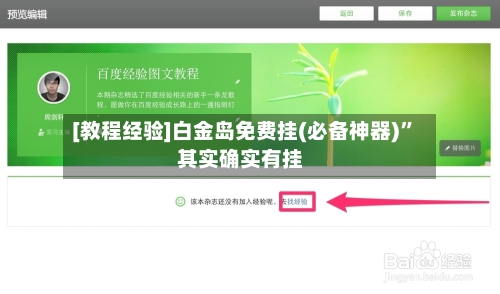 [教程经验]白金岛免费挂(必备神器)	”其实确实有挂-第2张图片