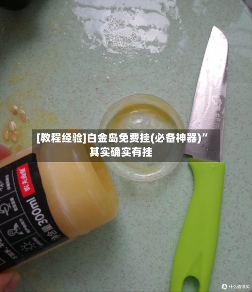 [教程经验]白金岛免费挂(必备神器)”其实确实有挂-第3张图片