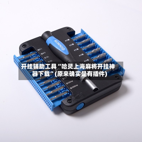 开挂辅助工具“哈灵上海麻将开挂神器下载”(原来确实是有插件)-第1张图片