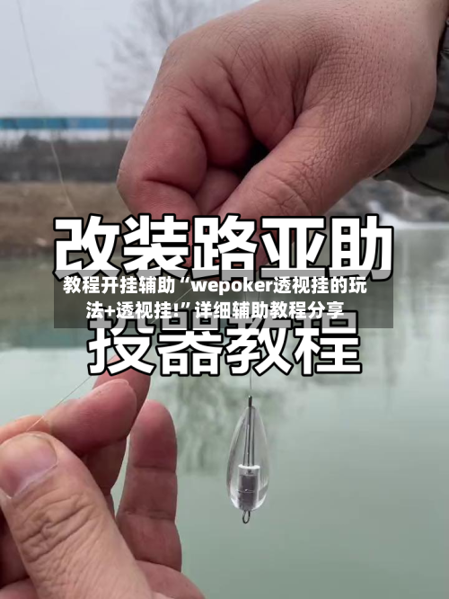 教程开挂辅助“wepoker透视挂的玩法+透视挂!”详细辅助教程分享-第1张图片