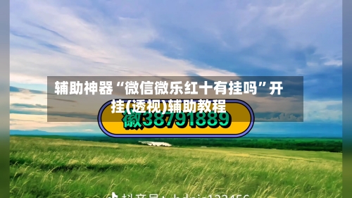 辅助神器“微信微乐红十有挂吗”开挂(透视)辅助教程-第3张图片