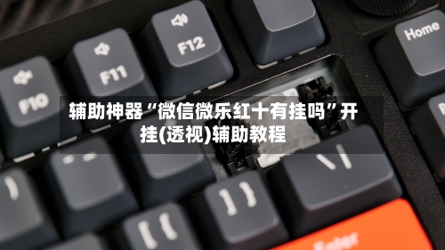 辅助神器“微信微乐红十有挂吗”开挂(透视)辅助教程-第1张图片