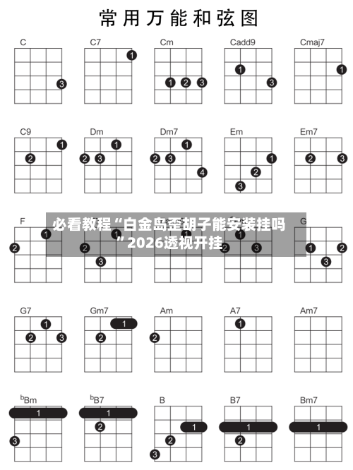 必看教程“白金岛歪胡子能安装挂吗”2026透视开挂-第2张图片