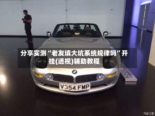 分享实测“老友填大坑系统规律吗”开挂(透视)辅助教程-第2张图片