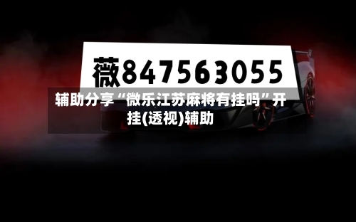 辅助分享“微乐江苏麻将有挂吗”开挂(透视)辅助-第2张图片