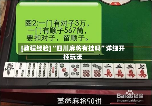 [教程经验]“四川麻将有挂吗”详细开挂玩法-第2张图片