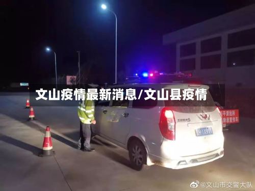 文山疫情最新消息/文山县疫情-第1张图片