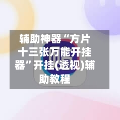辅助神器“方片十三张万能开挂器”开挂(透视)辅助教程-第2张图片