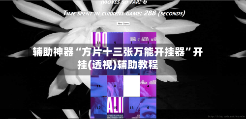 辅助神器“方片十三张万能开挂器	”开挂(透视)辅助教程-第1张图片