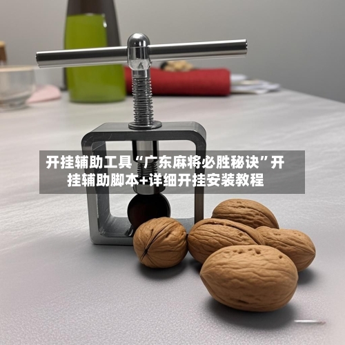 开挂辅助工具“广东麻将必胜秘诀”开挂辅助脚本+详细开挂安装教程-第1张图片