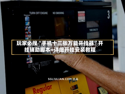 玩家必搜“手机十三张万能开挂器	”开挂辅助脚本+详细开挂安装教程-第2张图片