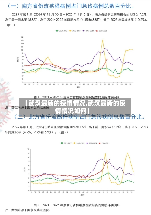 【武汉最新的疫情情况,武汉最新的疫情情况如何】-第1张图片