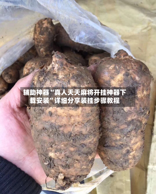 辅助神器“真人天天麻将开挂神器下载安装”详细分享装挂步骤教程-第2张图片