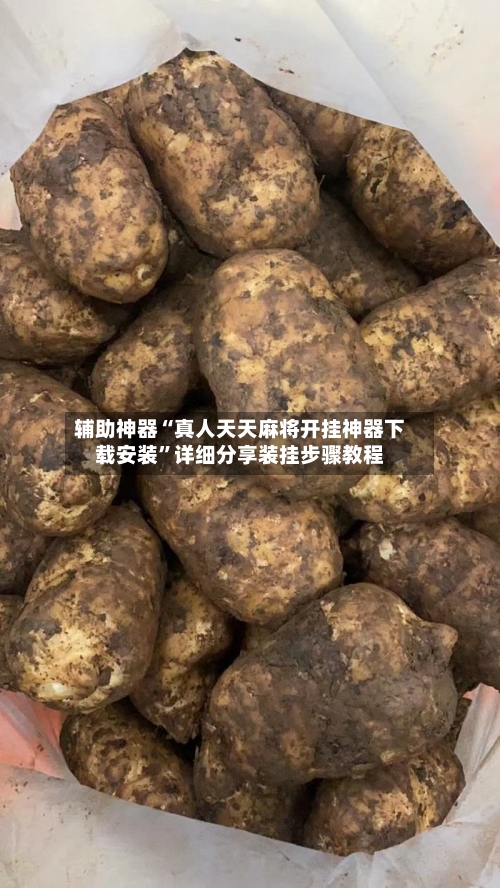 辅助神器“真人天天麻将开挂神器下载安装	”详细分享装挂步骤教程-第1张图片