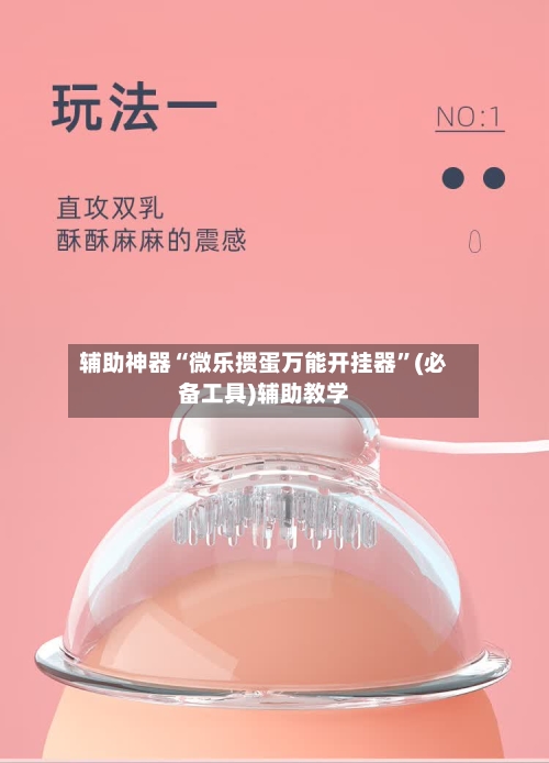 辅助神器“微乐掼蛋万能开挂器	”(必备工具)辅助教学-第1张图片