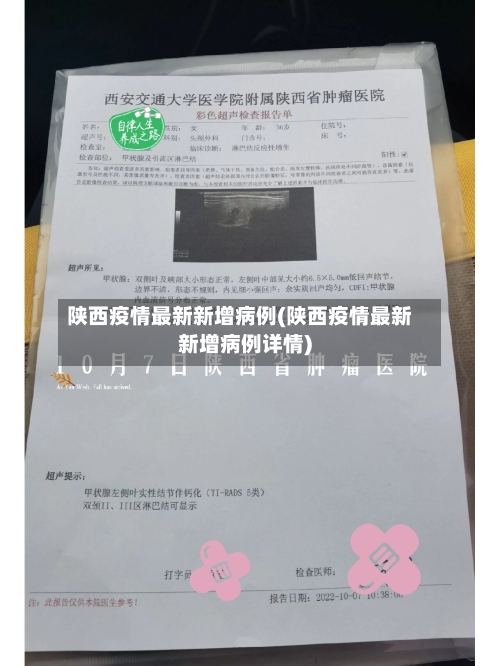 陕西疫情最新新增病例(陕西疫情最新新增病例详情)-第1张图片