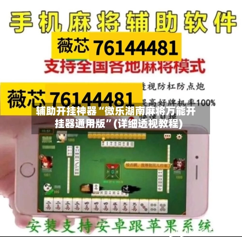 辅助开挂神器“微乐湖南麻将万能开挂器通用版	”(详细透视教程)-第1张图片