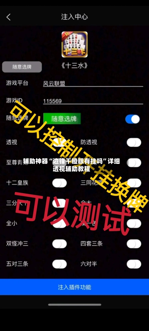 辅助神器“边锋干瞪眼有挂吗”详细透视辅助教程-第1张图片