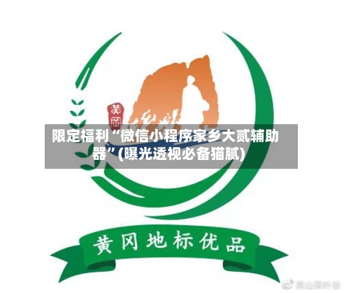 限定福利“微信小程序家乡大贰辅助器”(曝光透视必备猫腻)-第3张图片