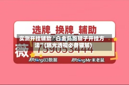 实测开挂辅助“白金岛跑胡子开挂方法”(曝光透视必备猫腻)-第1张图片