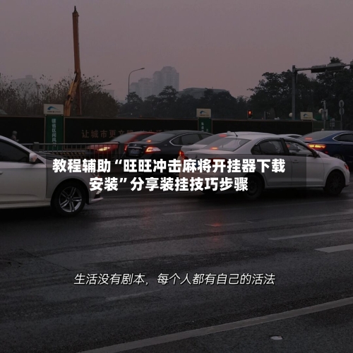 教程辅助“旺旺冲击麻将开挂器下载安装”分享装挂技巧步骤-第2张图片