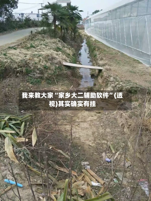 我来教大家“家乡大二辅助软件”(透视)其实确实有挂-第2张图片