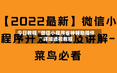 今日教程“微信小程序雀神辅助插件”详细透视教程-第1张图片