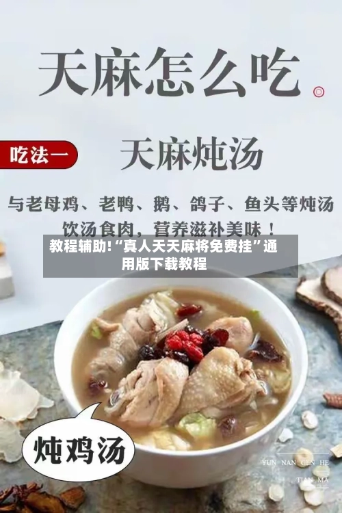 教程辅助!“真人天天麻将免费挂	”通用版下载教程-第1张图片