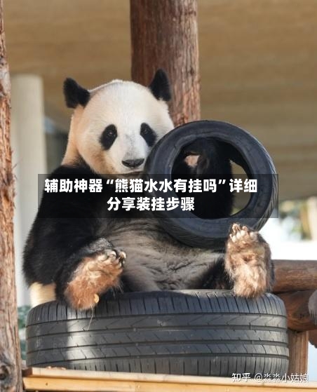 辅助神器“熊猫水水有挂吗	”详细分享装挂步骤-第1张图片