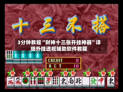 3分钟教程“财神十三张开挂神器”详细外挂透视辅助软件教程-第1张图片