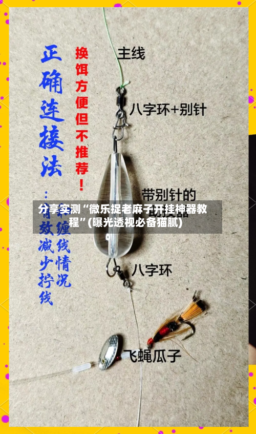 分享实测“微乐捉老麻子开挂神器教程”(曝光透视必备猫腻)-第1张图片
