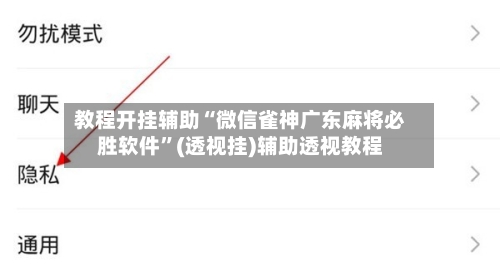 教程开挂辅助“微信雀神广东麻将必胜软件”(透视挂)辅助透视教程-第1张图片