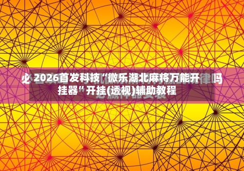 2026首发科技“微乐湖北麻将万能开挂器	”开挂(透视)辅助教程-第1张图片